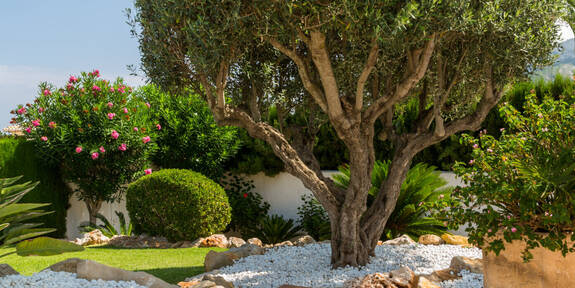 Gartenbau & Land­schafts­bau