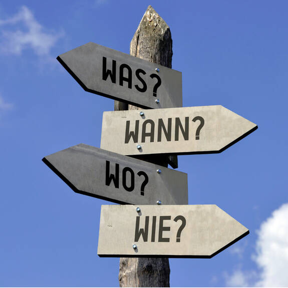 Wichtige Fragen Baumpflege Was Wann Wo Wie