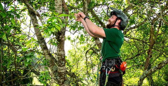 Unsere Gartenbau-Philosophie