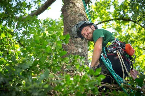 Seil-Baumkletter-Technik